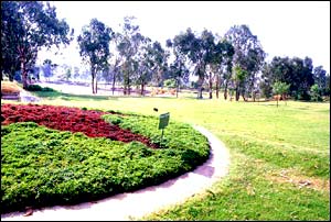 Sri Kotla Vijaya Bhaskar Reddy Botanical Garden