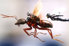 Ant-Man And The Wasp