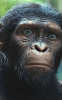 Kingdom of the Planet of the Apes (english) - show timings, theatres list