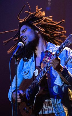 Bob Marley: One Love (english) - show timings, theatres list