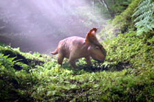 Walking With Dinosaurs (3D)