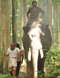 Kumki (Tamil) (tamil) - cast, music, director, release date