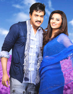 Mr. Pellikoduku (telugu) - show timings, theatres list