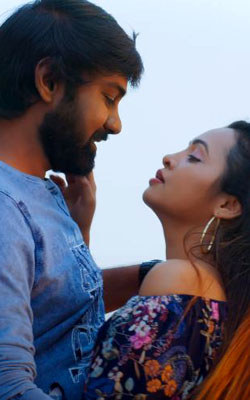 Nenevaru (telugu) - cast, music, director, release date