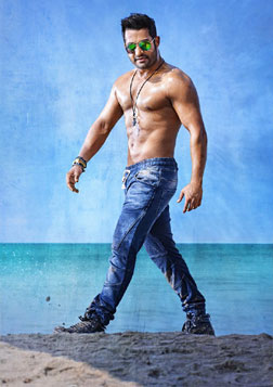 Temper (telugu) - cast, music, director, release date