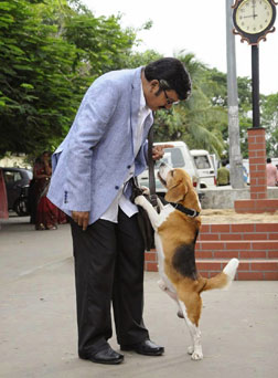 Tommy - The Lovely Dog (telugu) - cast, music, director, release date